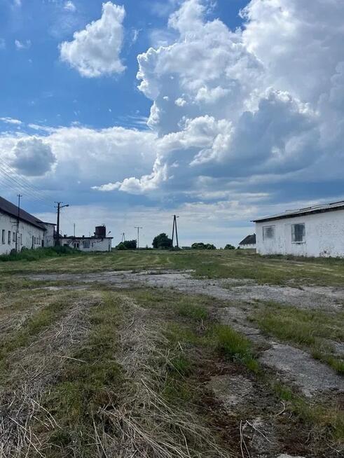 Ferma trzoda/drobiu
