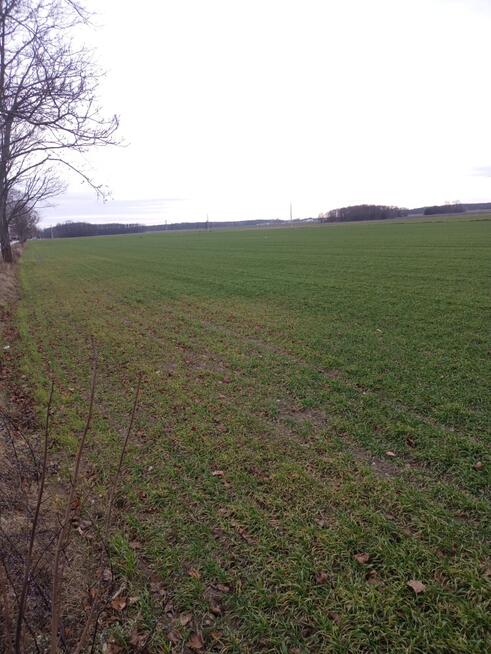 Sprzedam działki Winnica, 1000-1300m2