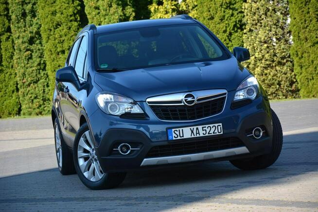 Innovation Xenon Led Navi Kamera 2xParktronic Skóry Aso Opel Alu18"