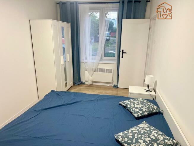 2 pokoje, pet-friendly - Cmentarna 30