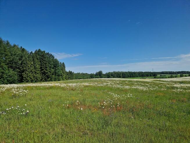 Działka budowlana Kozia Góra gmina Przywidz