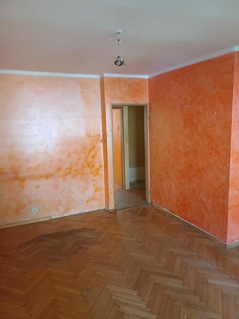 3 pokoje na Zwierzynieckiej – parter, 43,5 m²