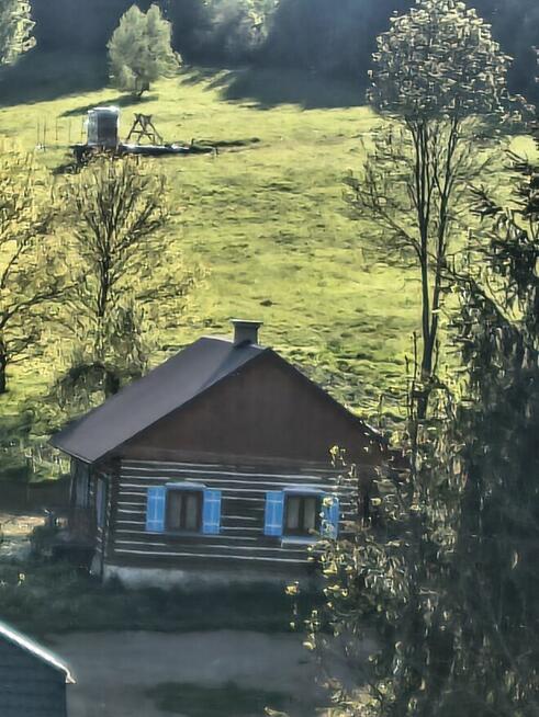 Wynajmę dom z bala