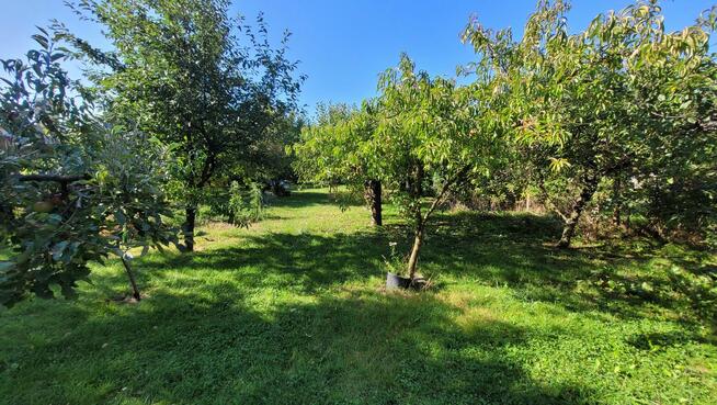 Posesja i 2 domy mieszkalne