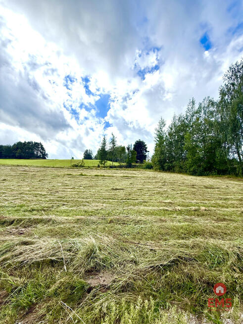 Działka budowlana Przejma Wysoka gm. Szypliszki,