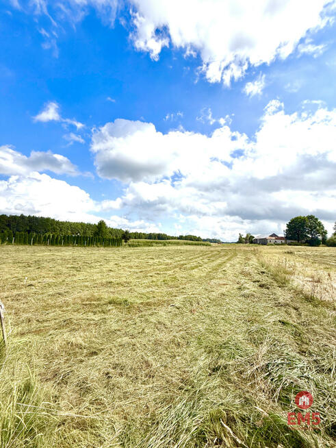 Działka budowlana Przejma Wysoka gm. Szypliszki,