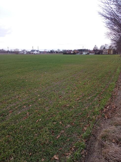 Sprzedam działki Winnica, 1000-1300m2