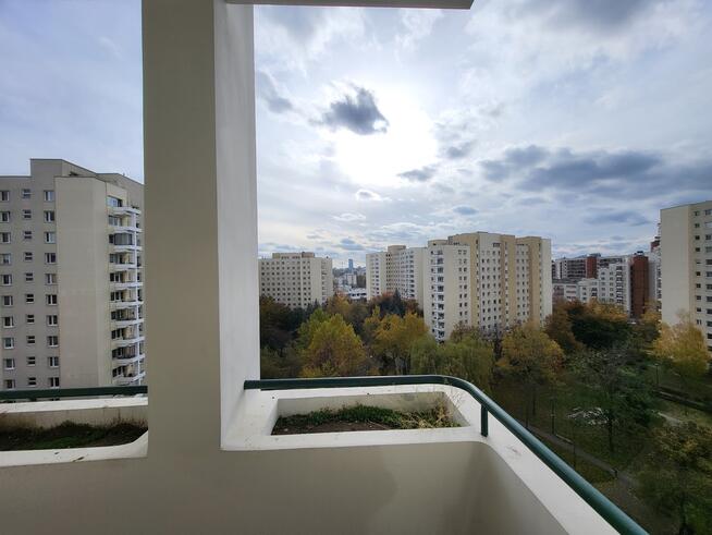 ✅ Sprawdź>>> kawalerka w świetnej lokalizacji ✅