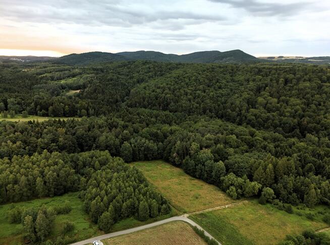 Działka budowlana pod lasem – 1730m2, WZ, prąd