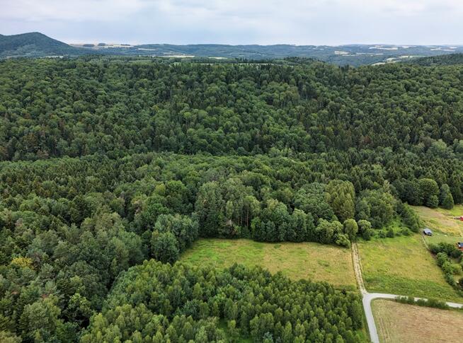Działka budowlana pod lasem – 1730m2, WZ, prąd