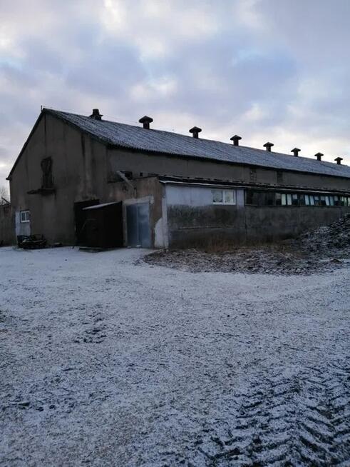 Sprzedam Gospodarstwo Rolne
