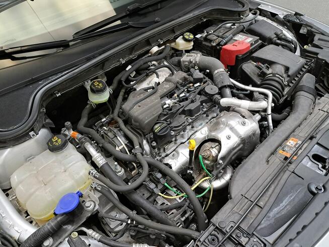 Ford Focus Poleasingowe.pl SCM