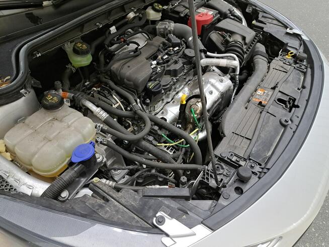Ford Focus Poleasingowe.pl SCM