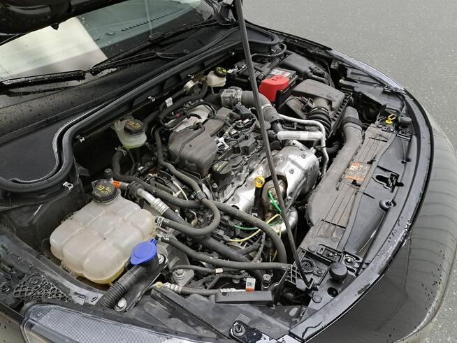 Ford Focus Poleasingowe.pl SCM