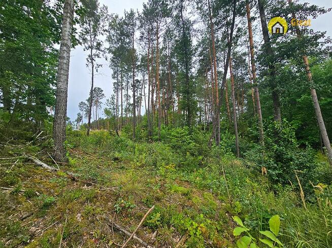 Działka leśna Strzegomek gm. Rytwiany,