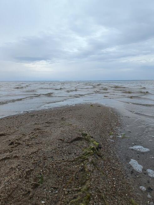 Zaproszę nad morze