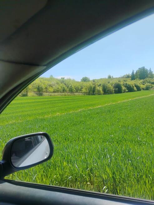 Sandomierz - dzialka 48 ar przy ul. Lipowej, mozliwy podzial