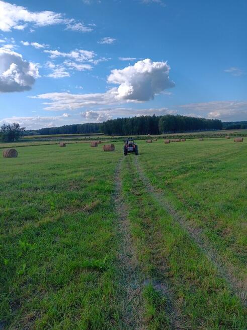 siano bele w stodole dla alpak, kóz, owiec, królików - ekstr