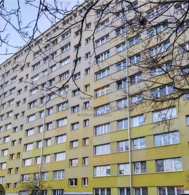 Lux rozkład 2 pokoje Magnolia Legnicka