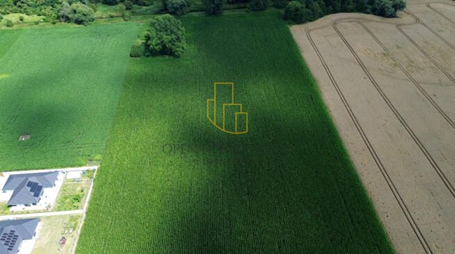 Szukalice, Żórawina, działka inwestycyjna 43,10 ha