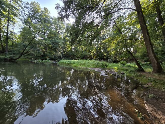 Działka siedliskowa Czarnówka gm. Wiązowna