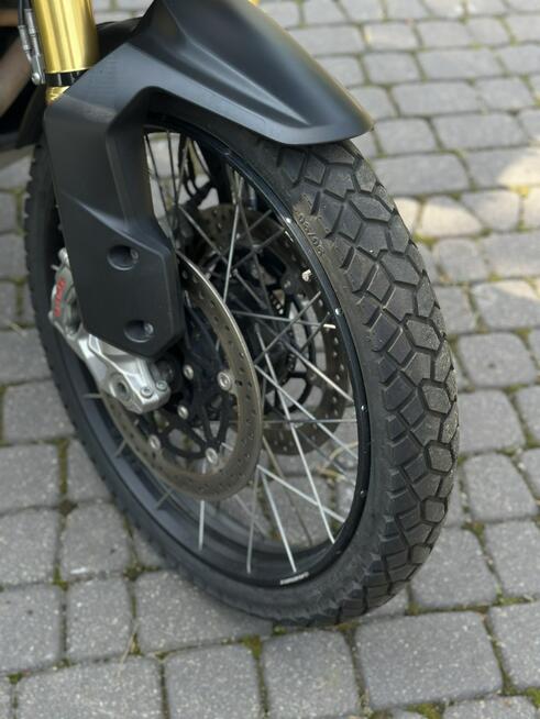 Triumph Tiger