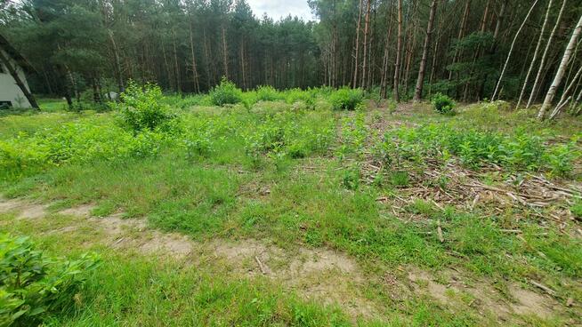 Działka budowlana 2559 m² w Karczewku, gmina Kiszkowo | WZ |