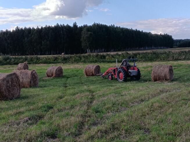 siano bele w stodole dla alpak, kóz, owiec, królików - ekstr