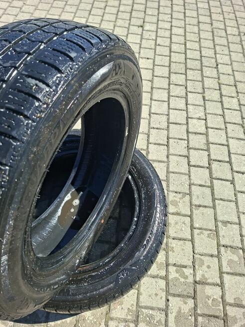 Opony NEXEN NINGUARD m+s 195/65/16 c 104/102t 8pr Nt1 bieżni