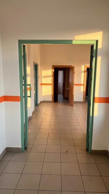 Rybnik Śródmieście 602 m² na wynajem | parter | winda | W3