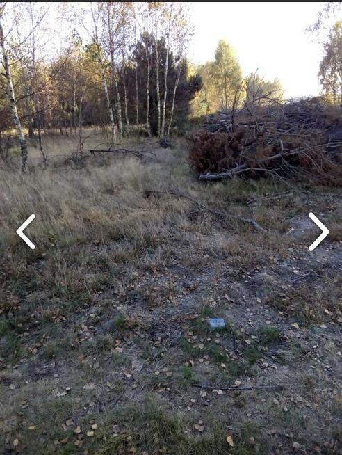 Działka rolna 2,07 ha – Kiczki 2, gm. Cegłów – tylko 69 000