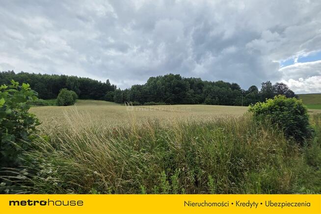 2,16 ha między jeziorami CHMIELNO I Kaszuby