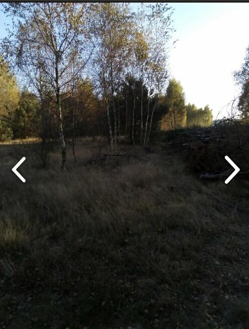 Działka rolna 2,07 ha – Kiczki 2, gm. Cegłów – tylko 69 000