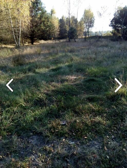 Działka rolna 2,07 ha – Kiczki 2, gm. Cegłów – tylko 69 000