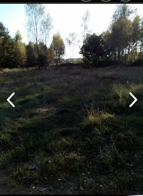 Działka rolna 2,07 ha – Kiczki 2, gm. Cegłów – tylko 69 000