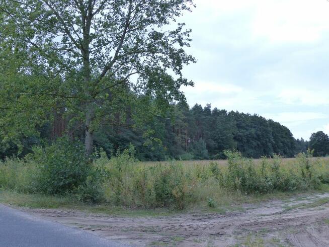 Działka 2,78ha rolno-budowlana