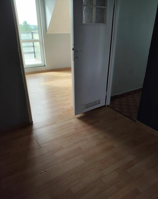 Mieszkanie 2 pokojowe 44m2 balkon, piwnica, do wynajęcia