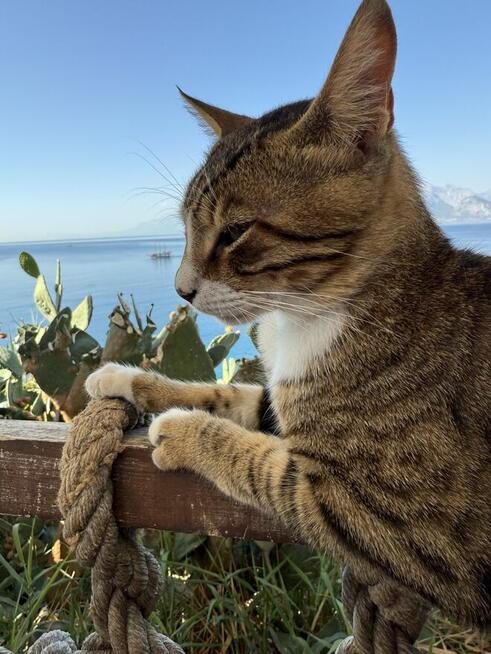 Antalya w październiku?