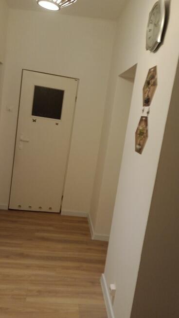 Do wynajęcia 3 pokojowe mieszkanie w Mołtajnach !!!