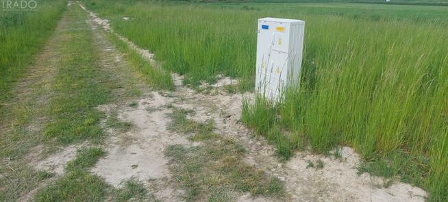 Działka rekreacyjna Zygmuntowo gm. Wilczyn