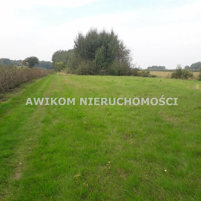 Działka rolna Kowiesowo gm. Mszczonów