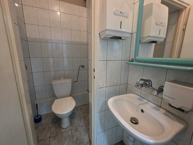 Lokal użytkowy Świdnica