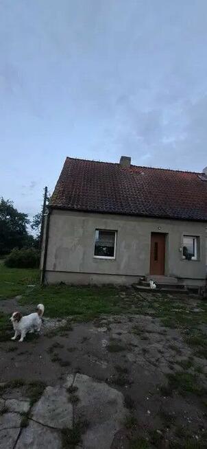 Przestronne mieszkanie z działką i ogromnym potencjałem !