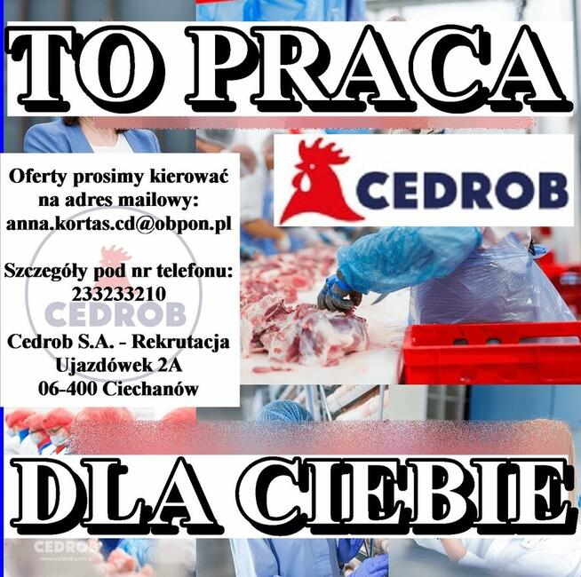 Operator wózka widłowego w Sekcji Załadunku Drobiu (K/M) po