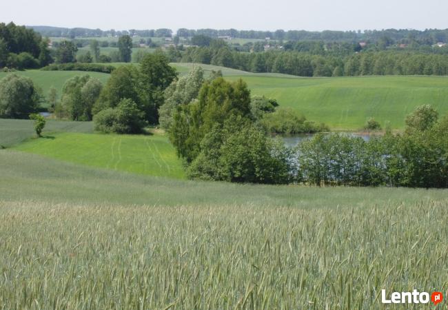 piękna działka rolno budowlana Zbójno Łukaszewo