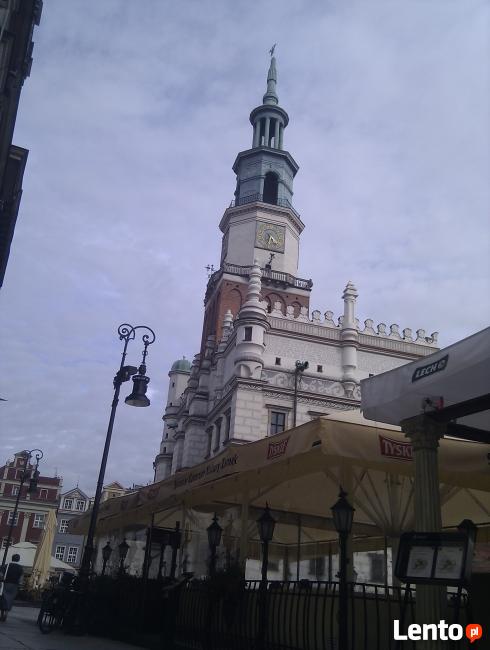 Ogródki piwne zabudowa plandekowa