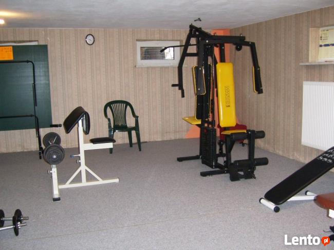 Sprzedam dom + pawilon handlowo-usługowy Warszawa Wesoła