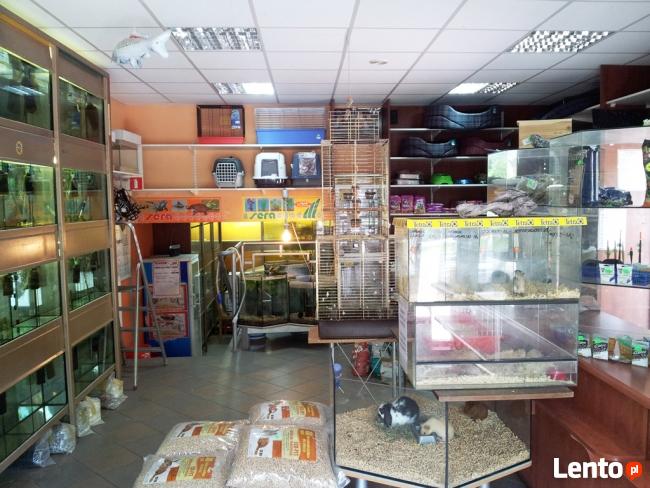 Sprzedam dom + pawilon handlowo-usługowy Warszawa Wesoła