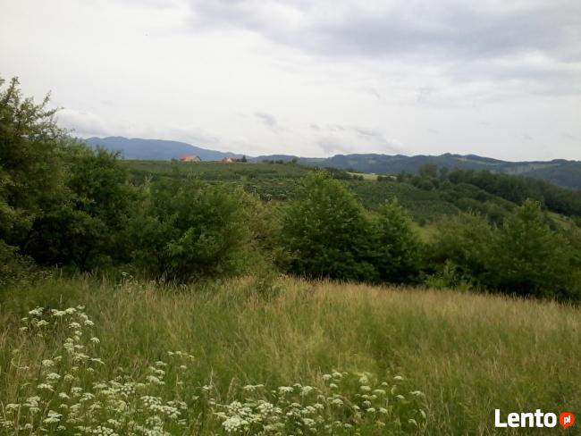 Do sprzedania działka w Łącku 42 arowa