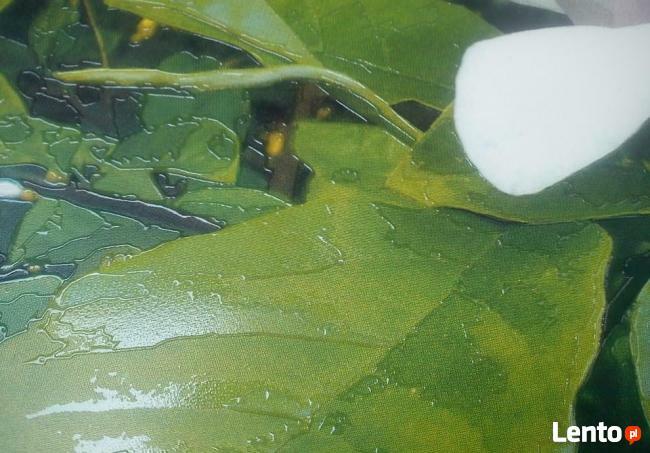 USZLACHETNIANIE DRUKU, Lakier UV, LAKIEROWANIE, BROKATOWANIE